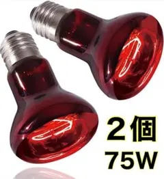 히트글로우 2개, 양서류, 파충류, 소형 동물, 적외선 조사 열 전구, 75W 히트 라이트