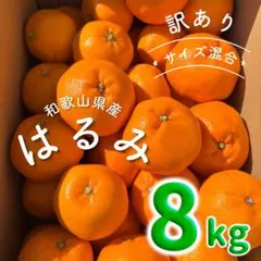 訳あり 和歌山県産 はるみ 8kg サイズ混合 有田みかん 柑橘31