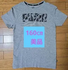 PUMA グレー Tシャツ レディース160㎝