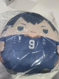 ハイキュー ぬいくじ ふわコロりん C賞 影山飛雄