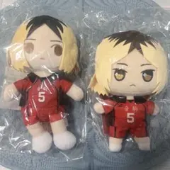 ☆レア☆ ハイキュー ちみっともぬい2種セット 孤爪 研磨 黒尾 鉄朗 音