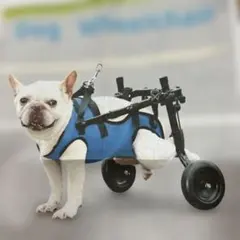 2025年最新】犬用車椅子の人気アイテム - メルカリ