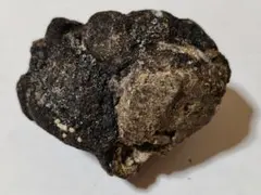 龍涎香 AMBERGRIS 1g 高品質 徳之島にて取得 龍涎香 AMBERGRIS 0.1g 低品質 徳之島にて取得 - メルカリ