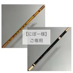 Item thumbnail for item d2c34494-ebcd-439d-910e-ffbd993a55b9