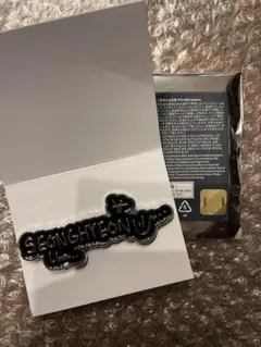 CORTIS PYPD JAPAN PINS ピンバッジ ソンヒョン