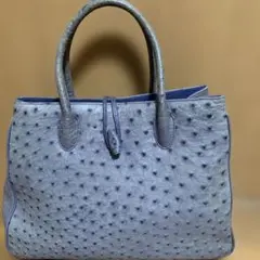 オーストリッチのトートバッグ