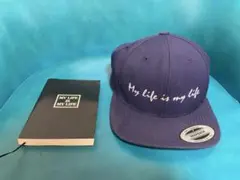 Item thumbnail for item 61e15b04-08a1-4363-9da5-53446a58eb0d