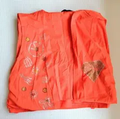 水美舞斗 ファンクラブ(FC) 会販 ウェア(RED STONE)(ジレ)