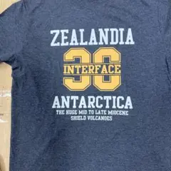 New Wave Club ZEALANDIA Tシャツ L グレー