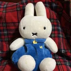 ミッフィー 子供用リュック