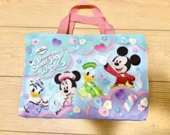 【ディズニー】パルパルーザ ヴァネロペ ポータブルクッションとバッグ