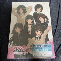 【新品未開封】アマガミSS　ビジュアルファンブック 特典付き