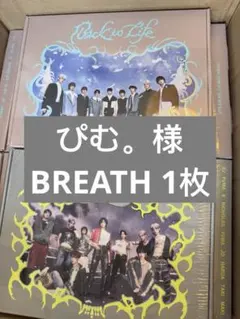 専用ページ ぴむ。様