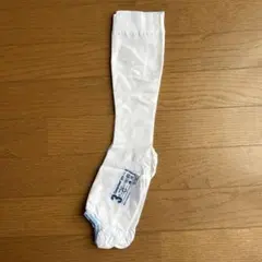 Item thumbnail for item 8d7204d8-7c9a-43c2-ab94-ded749aef1c2