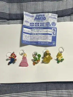 スーパーマリオ めじるしアクセサリー2 5点セット
