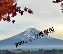 pon。(♡)様専用……