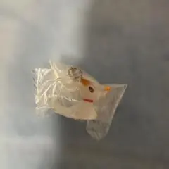 ディズニーキャラクターズ めじるしアクセサリー ゼロ winter ナイトメア