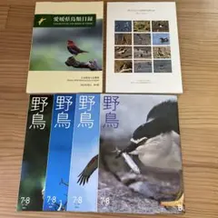 野鳥の会雑誌　愛媛県鳥類目録と野鳥雑誌4冊と重信川河口鳥類