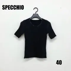 SPECCHIO シャトルプリーツ半袖プルオーバー サイズ40 女性のサムネイル