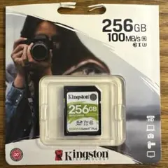 kingstone sdカード　256GB