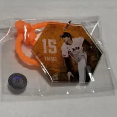ジャイアンツ アクリルマルチキーホルダー 大勢