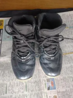 Item thumbnail for item 441b783a-19db-4f3e-a624-3a9d8ea7fc68