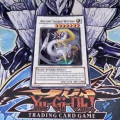 遊戯王 エンシェントホーリーワイバーン 英語 ウルトラ アンリミ