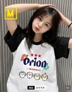 【M 黒白 ラスト1枚】レディース　トップス　半袖Tシャツ　新品未使用のサムネイル