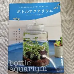 ボトルアクアリウム 小さな容器で楽しめる"癒しの水草レイアウト"