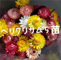 Merrygoround様 リクエスト 2点 まとめ商品