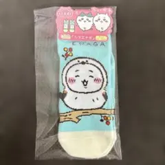 ちいかわ　北海道限定　キャラットソックス　ハチワレ＆ちいかわ