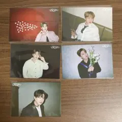 Stray Kids 展示会 ポストカード【チャンビン】まとめ売り