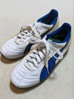 Item thumbnail for item 77ddcd77-195d-4e1c-837e-b065d93feafa