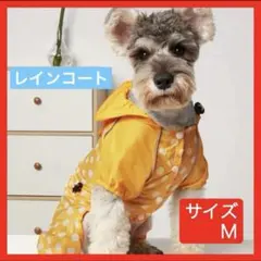 Item thumbnail for item 2393dd50-3645-47b6-a8ee-2afc1d616f53