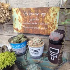 ジャンクガーデンの演出用 　サビサビ　鉄錆物　ブロカント　多肉&セダム　古道具 2026年最新】ジャンクガーデン サビの人気アイテム - メルカリ