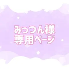 みつつん様専用ページ