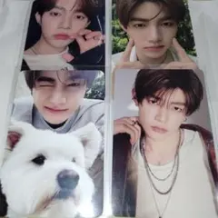 zb1 ハオ トレカ