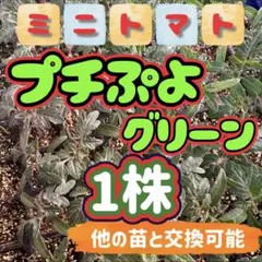 2026年最新】第四種郵便物］の人気アイテム - メルカリ