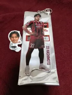 Item thumbnail for item 2dc2833f-d91a-420e-8f1c-87223174cf49