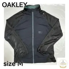 Item thumbnail for item 27681257-b10a-40a6-b55d-898980fbf556