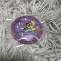 ディズニー　刺繍　缶バッジ