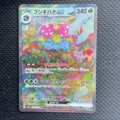 2025年最新】フシギバナsarの人気アイテム - メルカリ