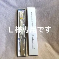 Item thumbnail for item 0336a62d-acc3-45e2-a81b-6df95d2e8d39