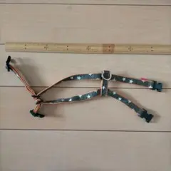 Item thumbnail for item 70417ae0-f383-456e-9643-16faee0a97dd