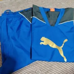 Puma スポーツウェア 青 グレー