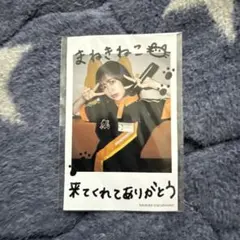 2026年最新】まねきねこ なえなのの人気アイテム - メルカリ