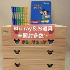 レッツプレイ お道具セット ガイド付き DWE