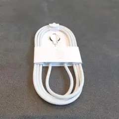 純正 新品 未使用品 Apple 60W USB-C充電ケーブル （1m）