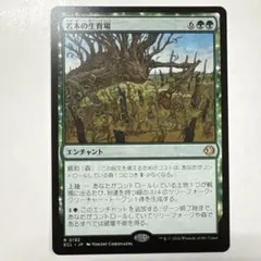 MTG ミラーリの目覚め/Mirari's Wake 日本語版 1枚 - メルカリ