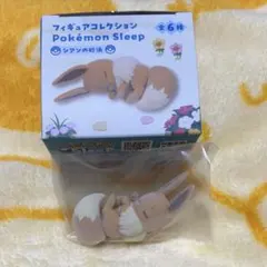 ポケモンスリープ シアンの砂浜 イーブイ
